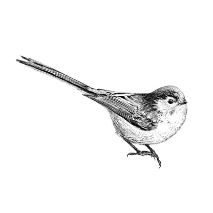 Long-Tailed Tit Wall Sticker