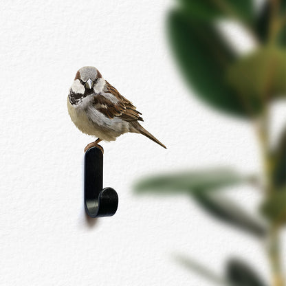 Wall Peg Sparrow (colour)