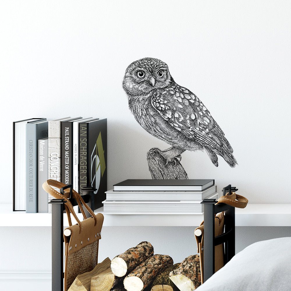 Little Owl Wall Sticker